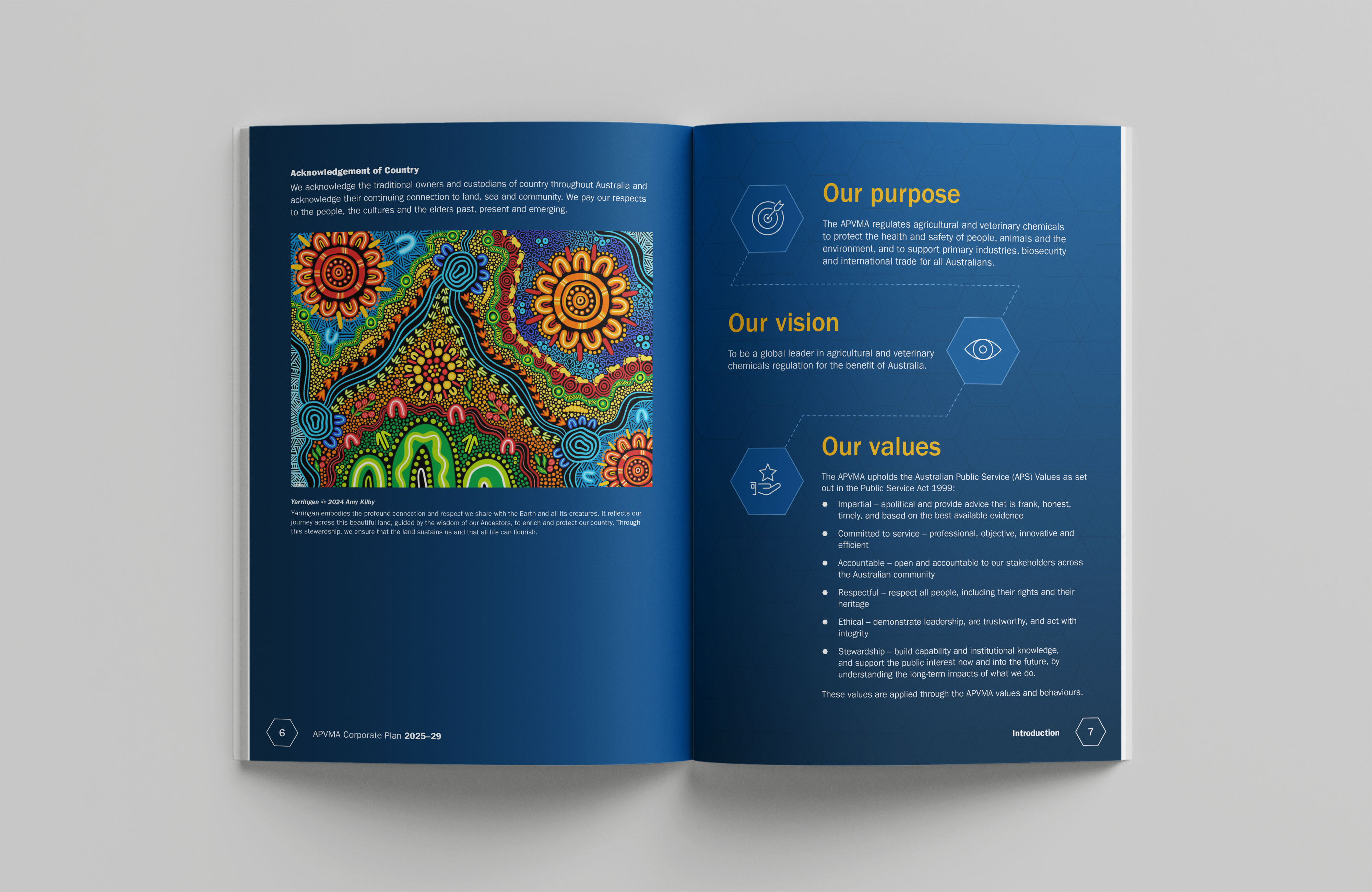 Australian Pesticides And Veterinary Medicines Authority – Corporate Plan 2025–26 to 2028–29